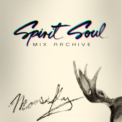 Moosefly - Spirit Soul Mix Archive - Guest Mix 029