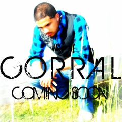 Yo Te Doy Amor-Corral 2013 preview