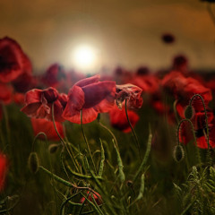 Sade - Kiss of Life (Monako Mix)