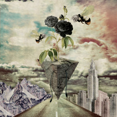 All Day & All Night - The Insects