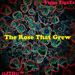 figga ziggsd