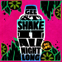 Gee & T - Shake It (All Night Long) (Baby Gee Remix)