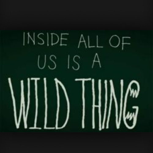 make me wild