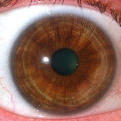 Eyes on the Judas (Hip Hop Beat) - DJWho - Leave a Comment! Support Underground Hip Hop!