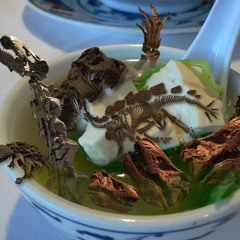 Dinosaur Soup(2-for 1 Special)!