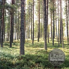 verds <> Ethno Fusion Playlist (.58.)