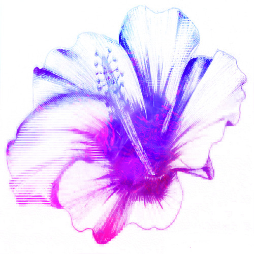 Programme 007 - Guest Mix by Spaceship Aloha - Splashes & Starlight