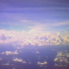 QUALMS - ElectricFriends [NativeFlowers001]