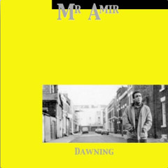 Mr. Amir - Running Out Of Time