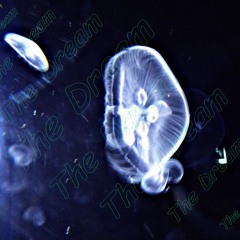 Milen Kolev - The Dream (Original Mix)