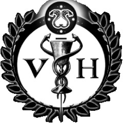 E.P.Murcy - Los Pies En El Suelo