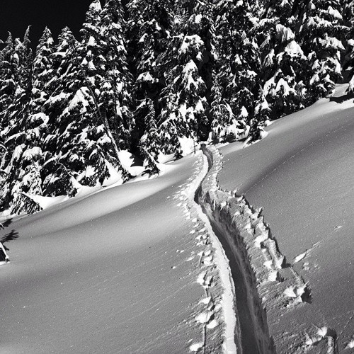 Pony Pony Run Run - Hey You (CRYSTAL FIGHTERS REMIX)