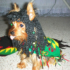 Reggae tings