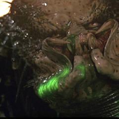 I Came. Predator Blood. - 1 Cent Peep Show