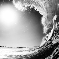 Undiscovered places in a dog's mind