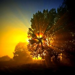 New Day