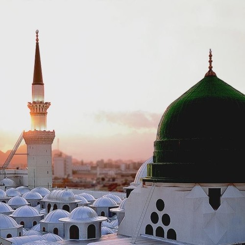 الاخوة ابو شعر ـ يم الحسن ـ فاطم فاطم