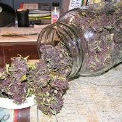 Mary You Know-Mello Gambino