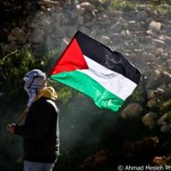سأحمل روحي على راحتي