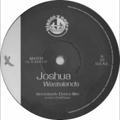 joshua - wastelands
