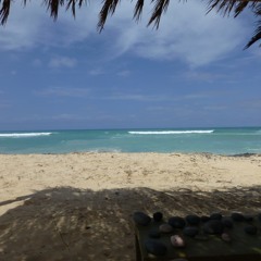 LXXTM LaidbackAttitude