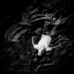 Secret Avenue - Satellite (album version)