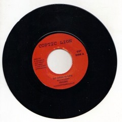 Jah Love is Forever ft. Glen Washington (snippet)