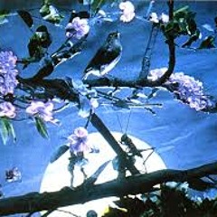 Nightingale...2 guitar tracks and 1 bass track..Music-Underground