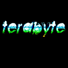 Terabyte - In My Place