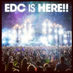 Markus Schulz - Live from Electric Daisy Carnival Chicago 2013