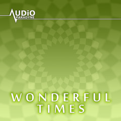 Audio Paradyne - Wonderful Times