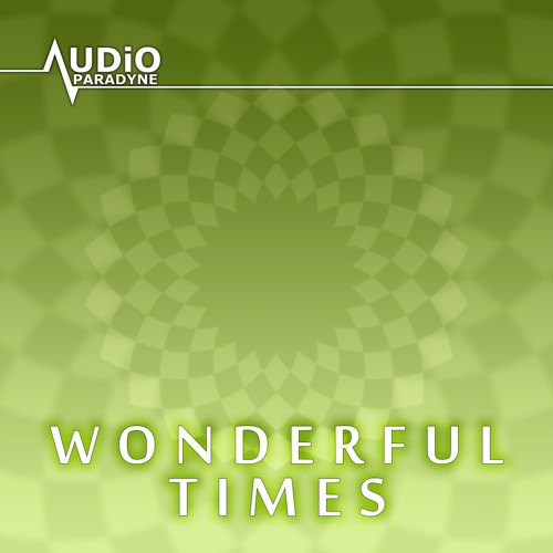 Audio Paradyne - Wonderful Times