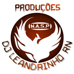 Dj Leandrinho RN Feat. Mc Leandrinho - Qual Vai Ser (2013) Club Mix NOVO