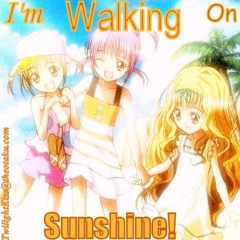 Sun Shine
