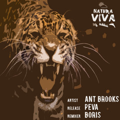 Ant Brooks - Peva (DJ Boris remix)