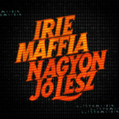 Irie Maffia - Fever in her eyes (NDJT Project Remix)