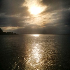 Stay - Rihanna cover by Joie Fine. Singing acapella by the lakeside.