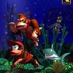 Donkey Kong Country - Aquatic Ambience {Trapped-Out Re-Fix}