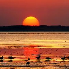 Hold Back The Night (WiZzLe feat. Knox Moolah & Ben LG)