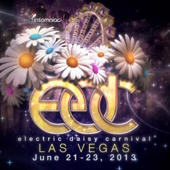 Arty - Live @ Electric Daisy Carnival, EDC Las Vegas 2013 - 21.06.2013