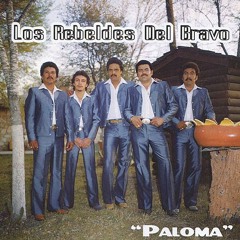 Los Rebeldes del Bravo - Paloma