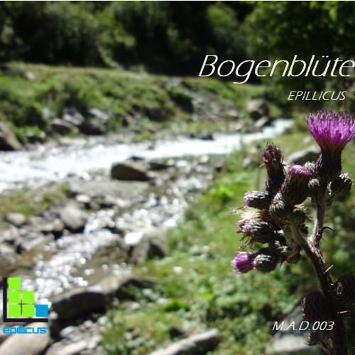 Bogenblüte - Epillicus