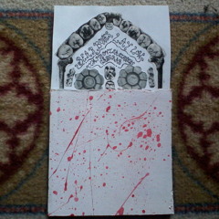 Bear Bones, Lay Low - Selva Sin Verla (excerpt)