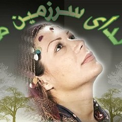 حامد نیک پی -آن خس و خاشاک تویی
