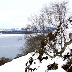 LOCH MUICK by Fiona Driver