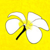 Agri Lava (heddhi ethikolhu)