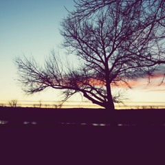 Ballad of Love and Hate (Avett Brothers cover)