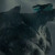 Artwork for Dark Rise (howling)