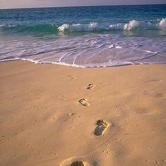 حلم النيل بالضفة الثالثة