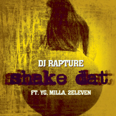 Dj Rapture ft. YG, Milla, 2Eleven - Shake Dat (dirty)
